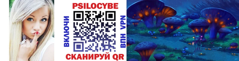 Купить где  Заозёрск  Псилоцибиновые грибы Psilocybine cubensis 